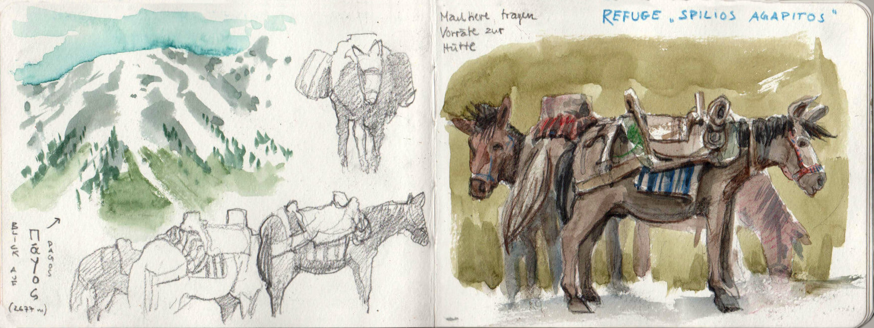 donkeys carry food supplies to the refuge
